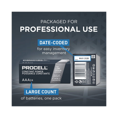 Procell® Professional Alkaline AAA Batteries, 144/Carton (DURPC2400CT)