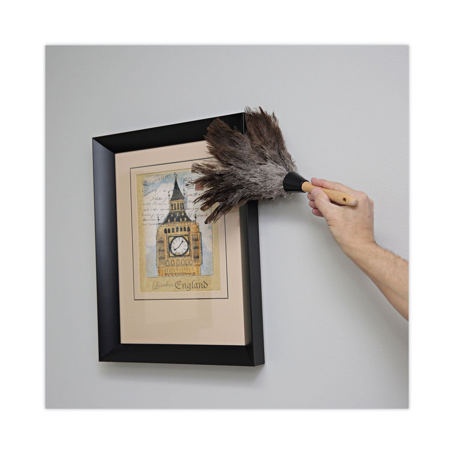 boardwalk-professional-ostrich-feather-duster-num-bwk14fd_5