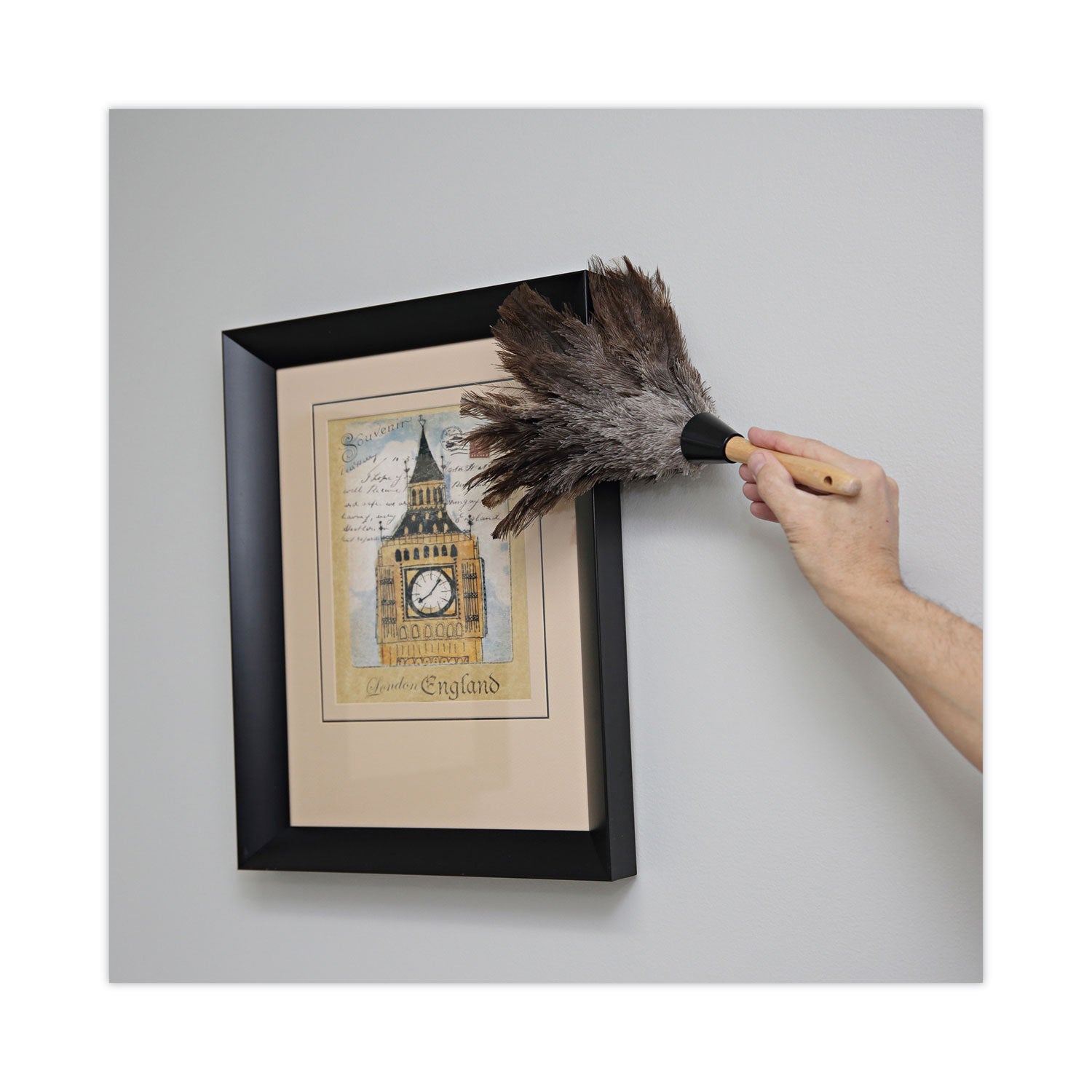 boardwalk-professional-ostrich-feather-duster-num-bwk14fd_5