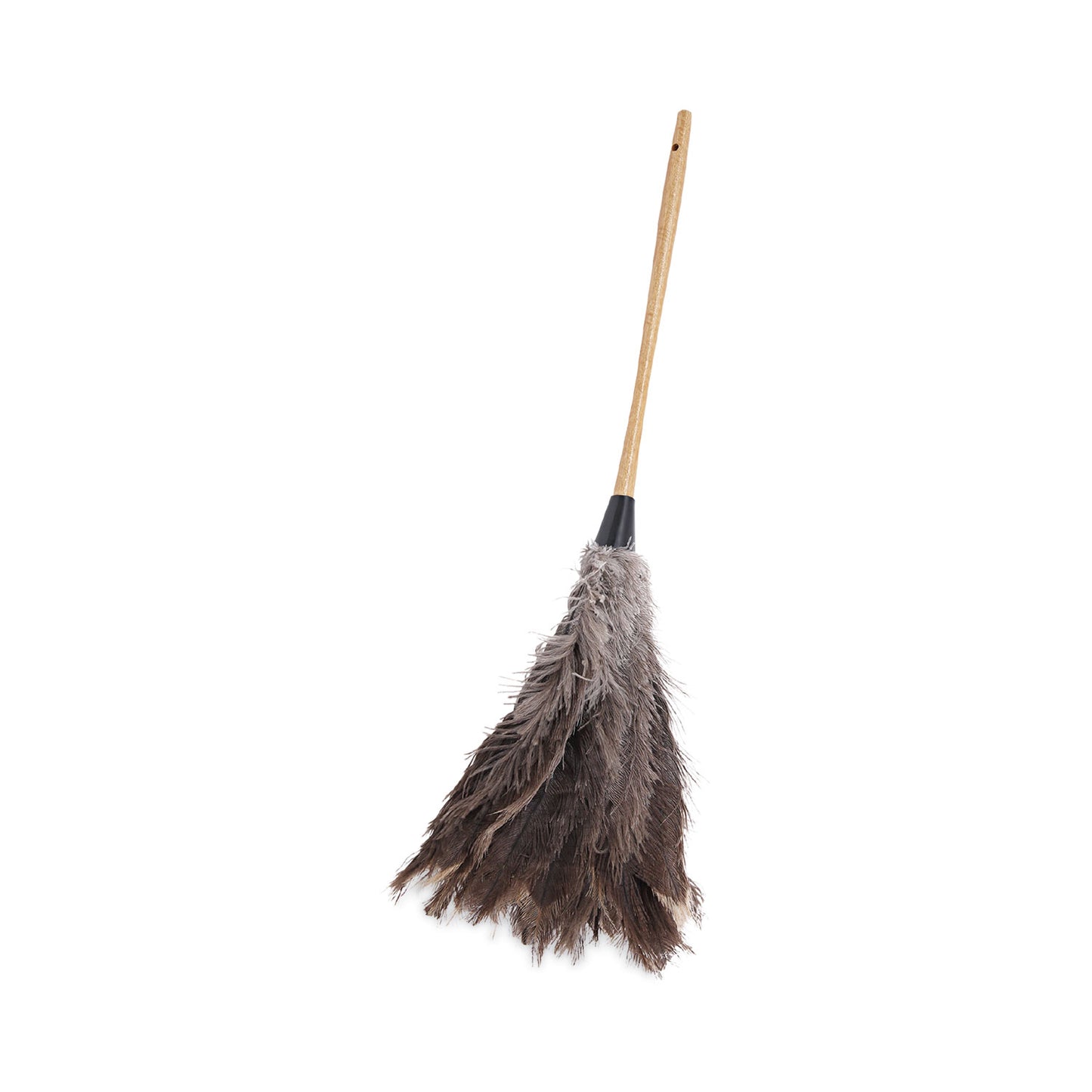 Boardwalk® Professional Ostrich Feather Duster, 16" Wood Handle, 12" Gray Bristle (BWK31FD)