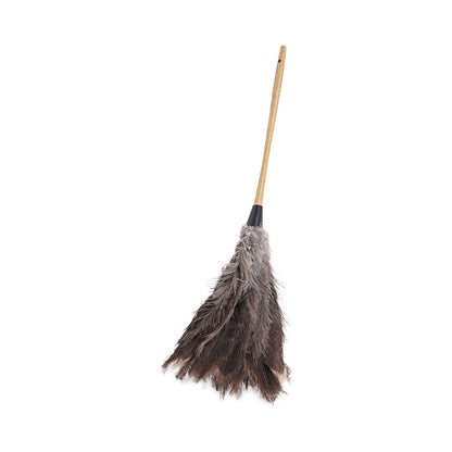 Boardwalk® Professional Ostrich Feather Duster, 16" Wood Handle, 12" Gray Bristle (BWK31FD)