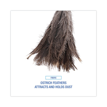 Boardwalk® Professional Ostrich Feather Duster, 16" Wood Handle, 12" Gray Bristle (BWK31FD)