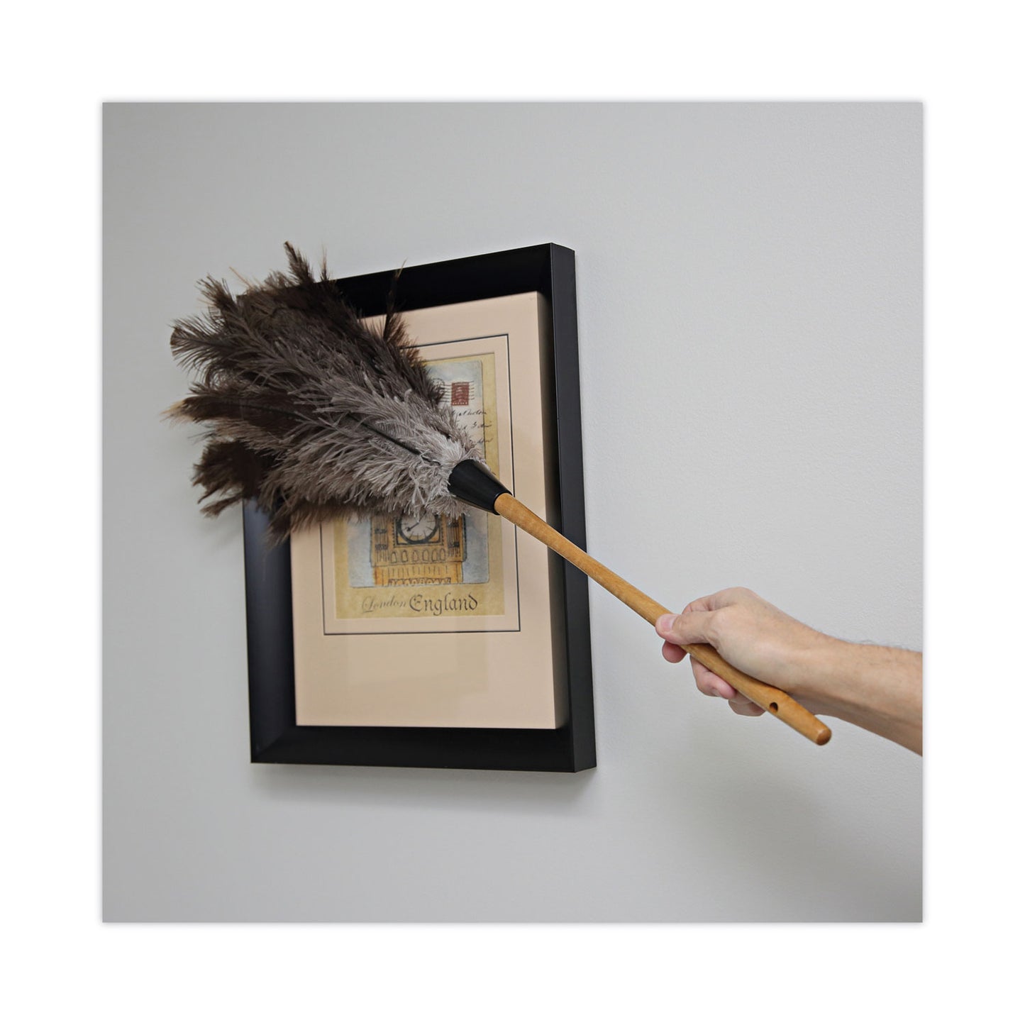 Boardwalk® Professional Ostrich Feather Duster, 16" Wood Handle, 12" Gray Bristle (BWK31FD)