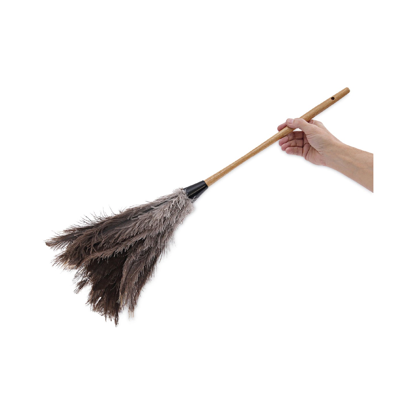 Boardwalk® Professional Ostrich Feather Duster, 16" Wood Handle, 12" Gray Bristle (BWK31FD)