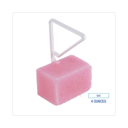 boardwalk-toilet-bowl-para-deodorizer-block-num-bwkb04bx_2