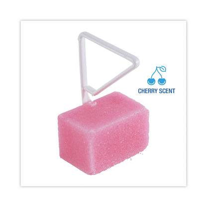boardwalk-toilet-bowl-para-deodorizer-block-num-bwkb04bx_4