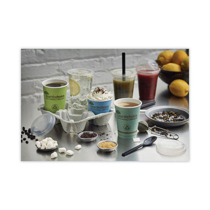 pactiv-earthchoice-hot-cups-num-pctdphc12ec_4