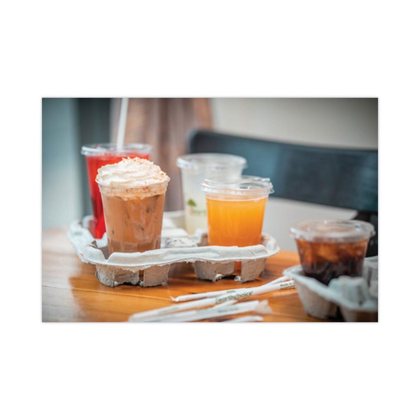 pactiv-earthchoice-four-cup-carrier-num-pctm5135040001_3