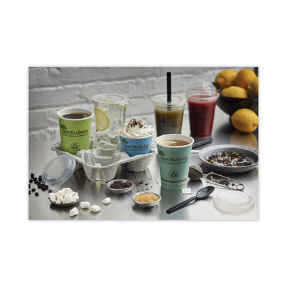 pactiv-evergreen-earthchoice-strawless-rpet-lid-flat-lid-fits-9-oz-to-20-oz-a-cups-clear-1-020-carton-pctylp20cnh_2