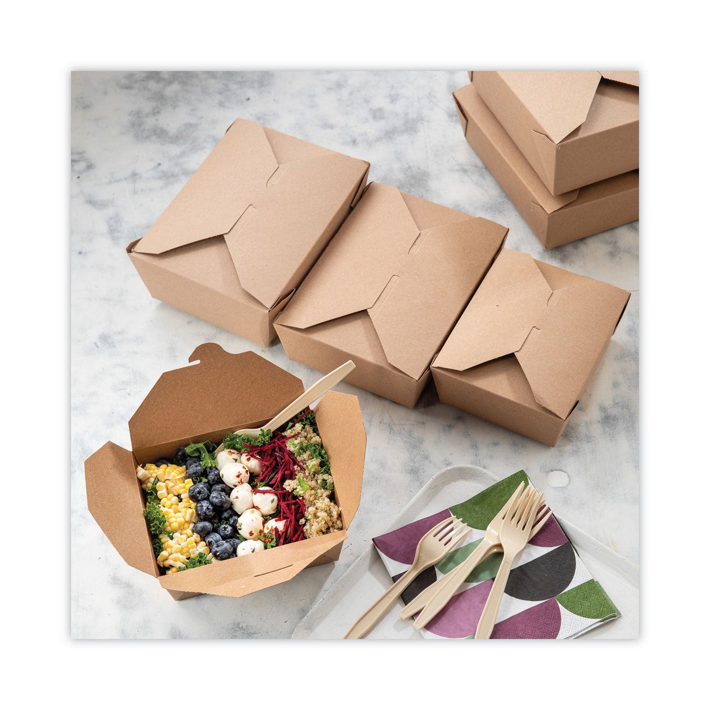 pactiv-earthchoice-psm-cutlery-num-pctypsmftec_5