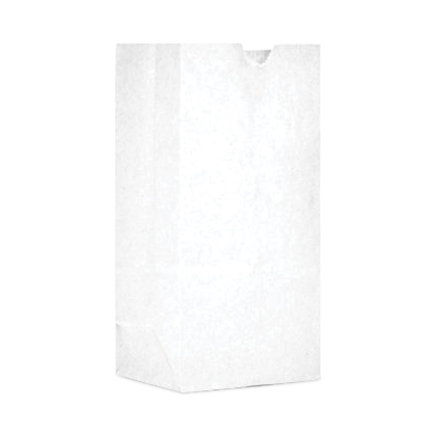ajm-packaging-corporation-grocery-bag-7-x-10-5-white-500-carton-baggw1500_1