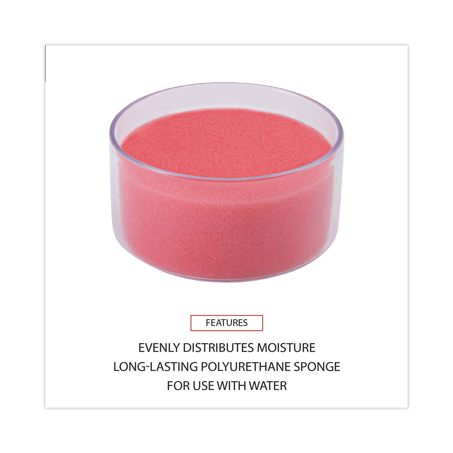 universal-sponge-cup-moistener-num-unv56503_3