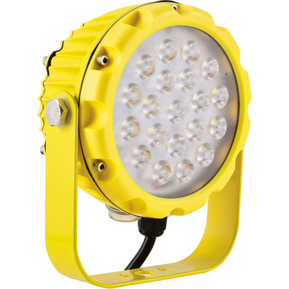Global Industrial LED Dock Light Head, 30W, 3000 Lumens, On/Off Switch, 9' Cord w/ Plug (WB812413)