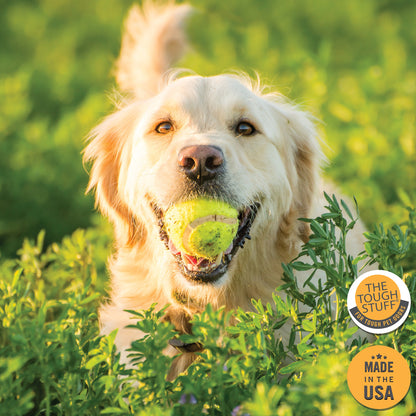Tough Stuff® Skunked! Deodorizing Pet Shampoo, Original, 16 oz Bottle (HOS816SHP)