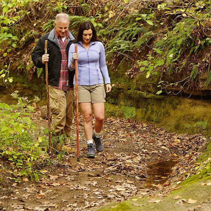 Brazos™ Twisted T-Handle Cane Wood 37 Inch Height Brown (1229018_EA)