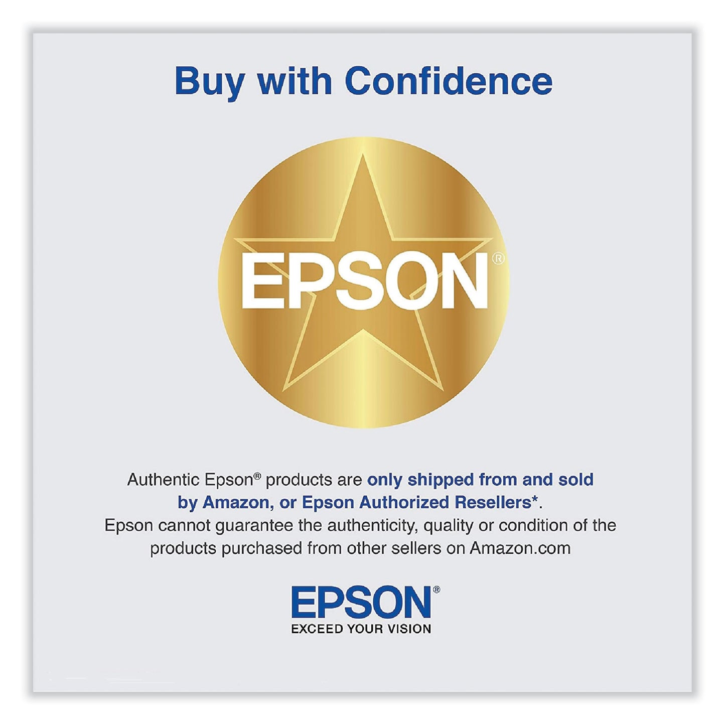 Epson® T653900 UltraChrome HDR Ink, Light Light Black (EPST653900)