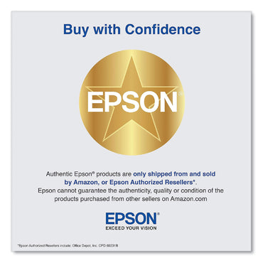 Epson® T48E620 (T48E) UltraChrome RS High-Yield Ink Packs, Light Magenta, 2/Pack (EPST48E620)