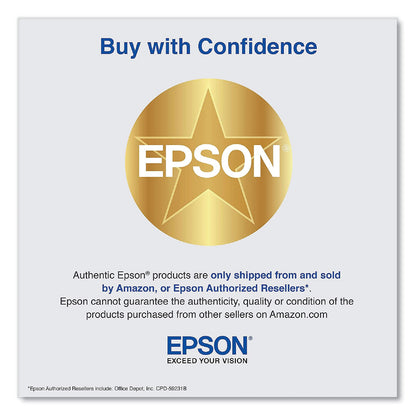 Epson® T48E620 (T48E) UltraChrome RS High-Yield Ink Packs, Light Magenta, 2/Pack (EPST48E620)