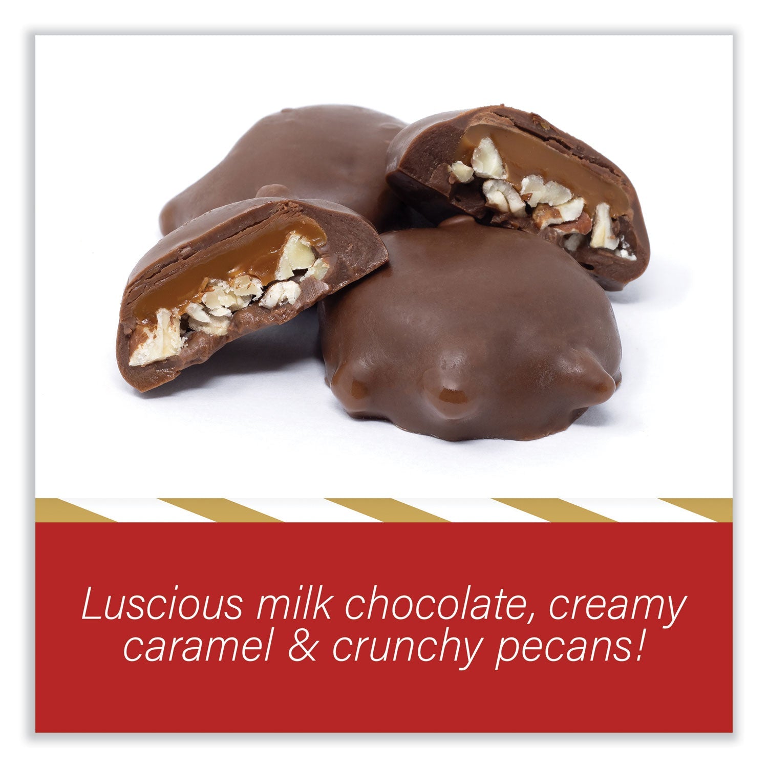 demet-s-original-turtle-bites-num-grr22002036_3