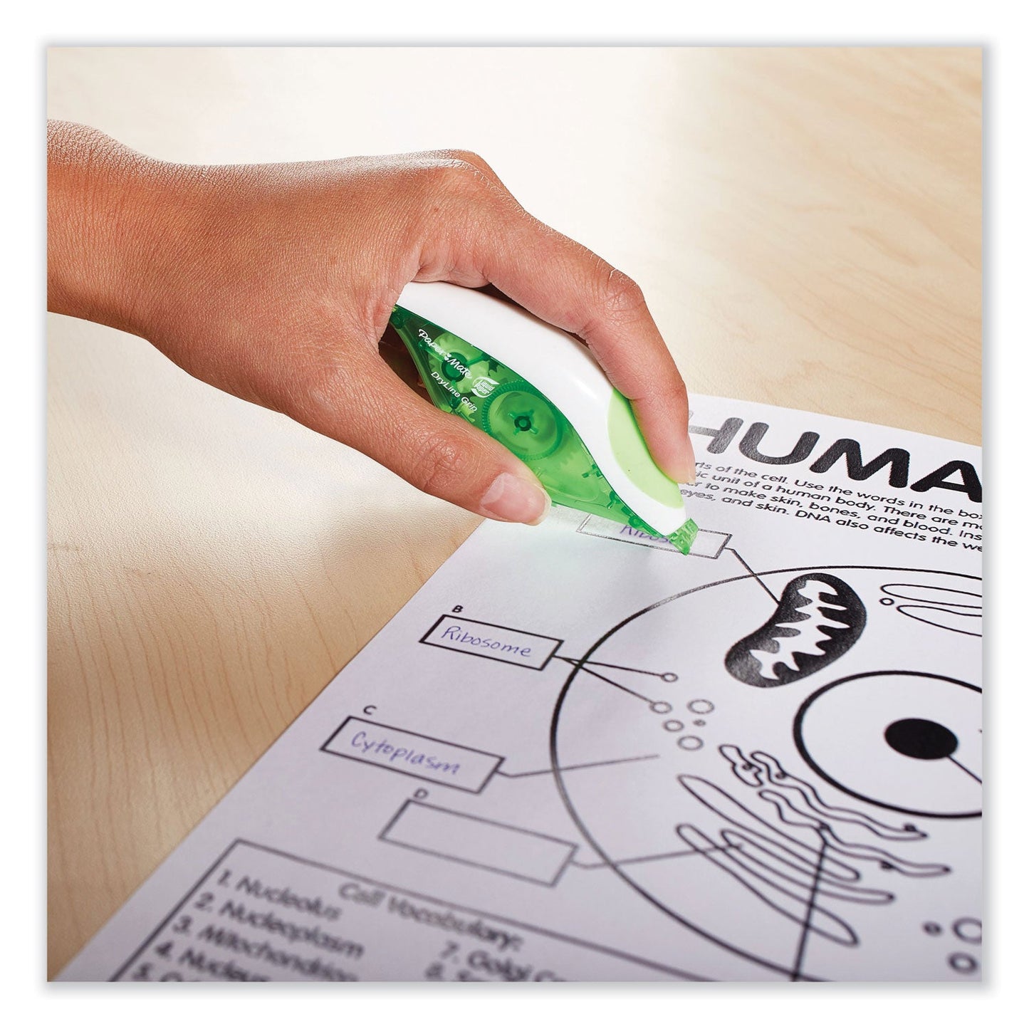 papermate-dryline-grip-correction-tape-num-pap87813_3