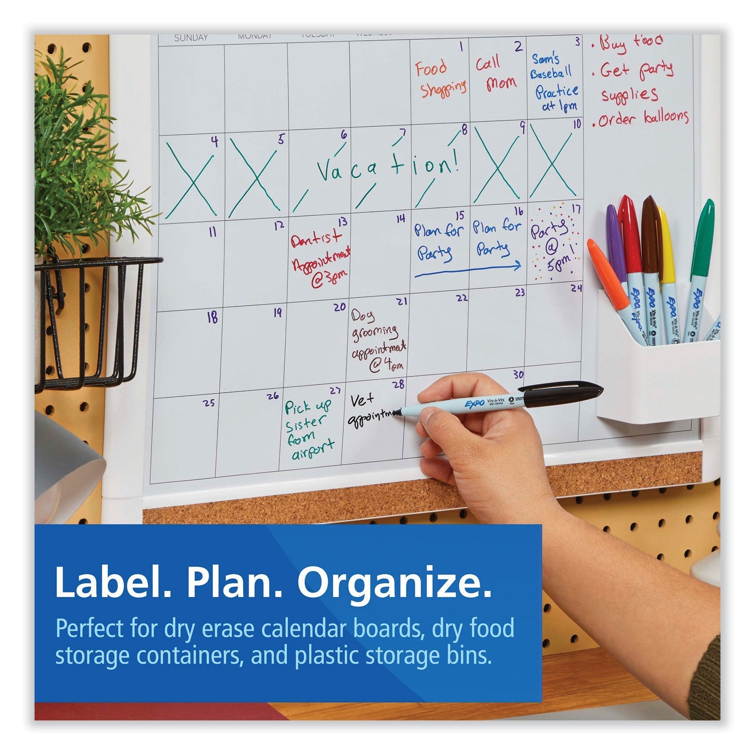expo-vis-a-vis-wet-erase-markers-num-san2134347_2