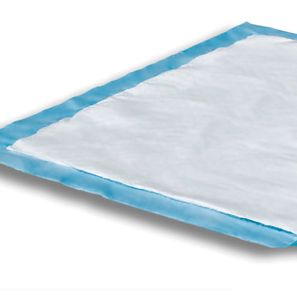 Attends® Care Dri-Sorb® Disposable Underpad 23 X 36 Inch Cellulose / Polymer Heavy Absorbency (725387_CS)