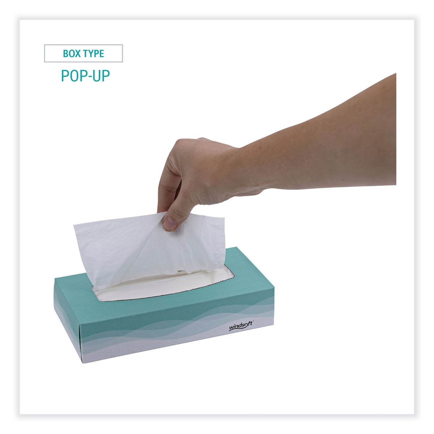 windsoft-pop-up-box-2-ply-facial-tissue-num-win2360_5
