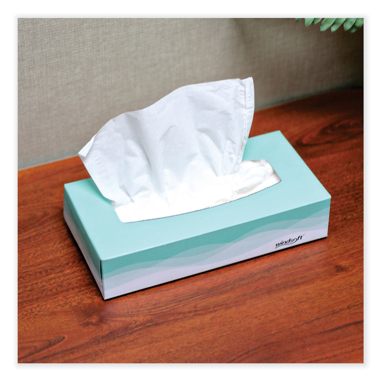 windsoft-pop-up-box-2-ply-facial-tissue-num-win2360_4