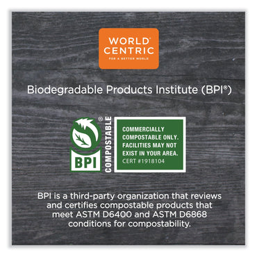 world-centric-no-tree-rectangular-containers-num-worctnt24_2