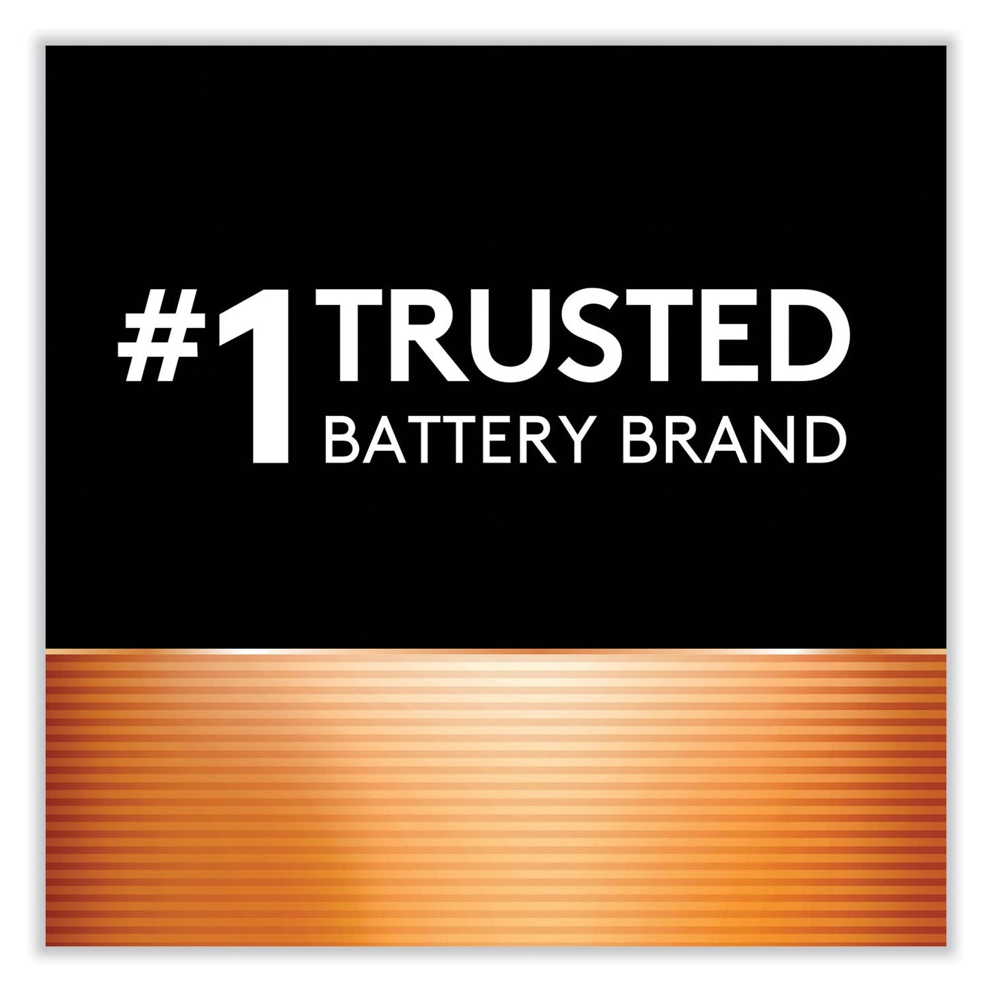 duracell-specialty-high-power-lithium-battery-num-durdl245bpk_4