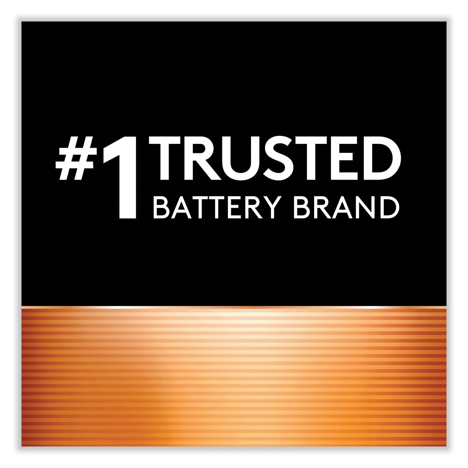 duracell-specialty-high-power-lithium-battery-num-durdl245bpk_4