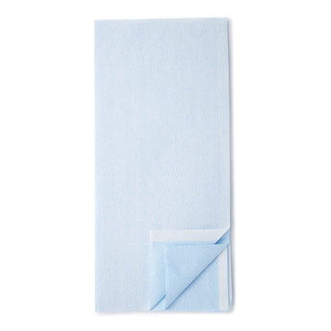 Avalon® Stretcher Sheet Flat 40 X 90 Inch Blue Tissue / Poly Disposable (806066_CS)