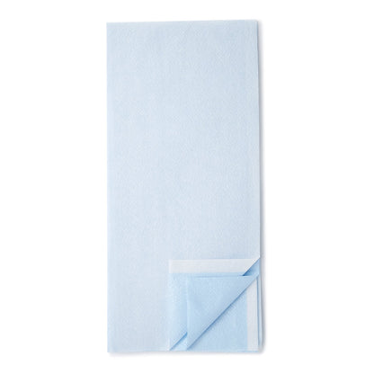 Avalon® Stretcher Sheet Flat 40 X 90 Inch Blue Tissue / Poly Disposable (806066_CS)