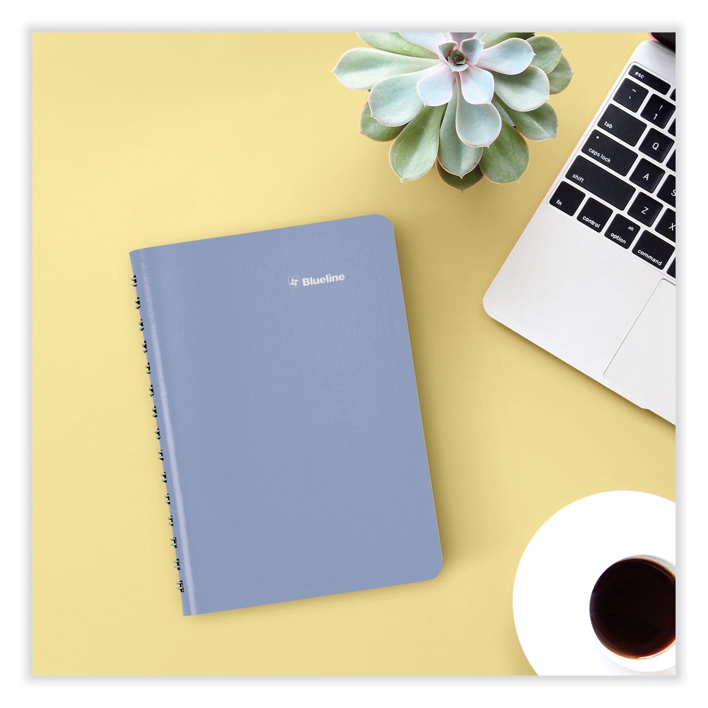 blueline-academic-daily-monthly-planner-num-redca201f02_6