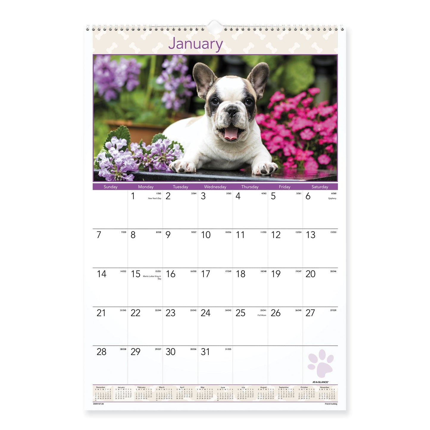 at-a-glance-puppies-monthly-wall-calendar-num-aagdmw16728_2
