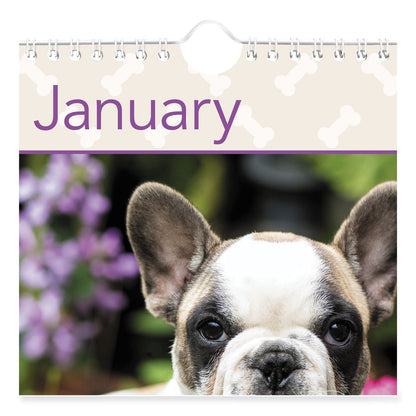 at-a-glance-puppies-monthly-wall-calendar-num-aagdmw16728_5