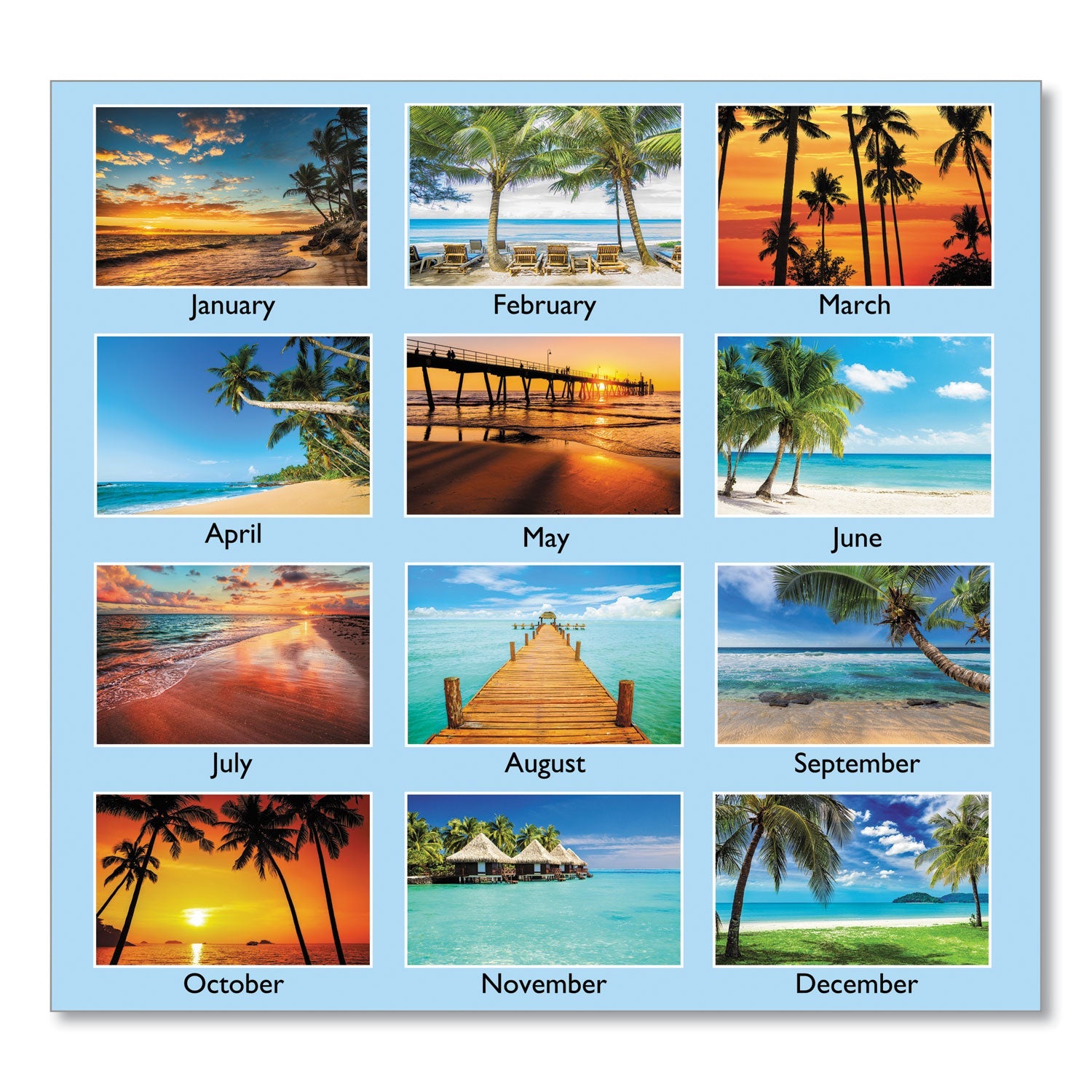 at-a-glance-tropical-escape-wall-calendar-num-aagdmwte828_3