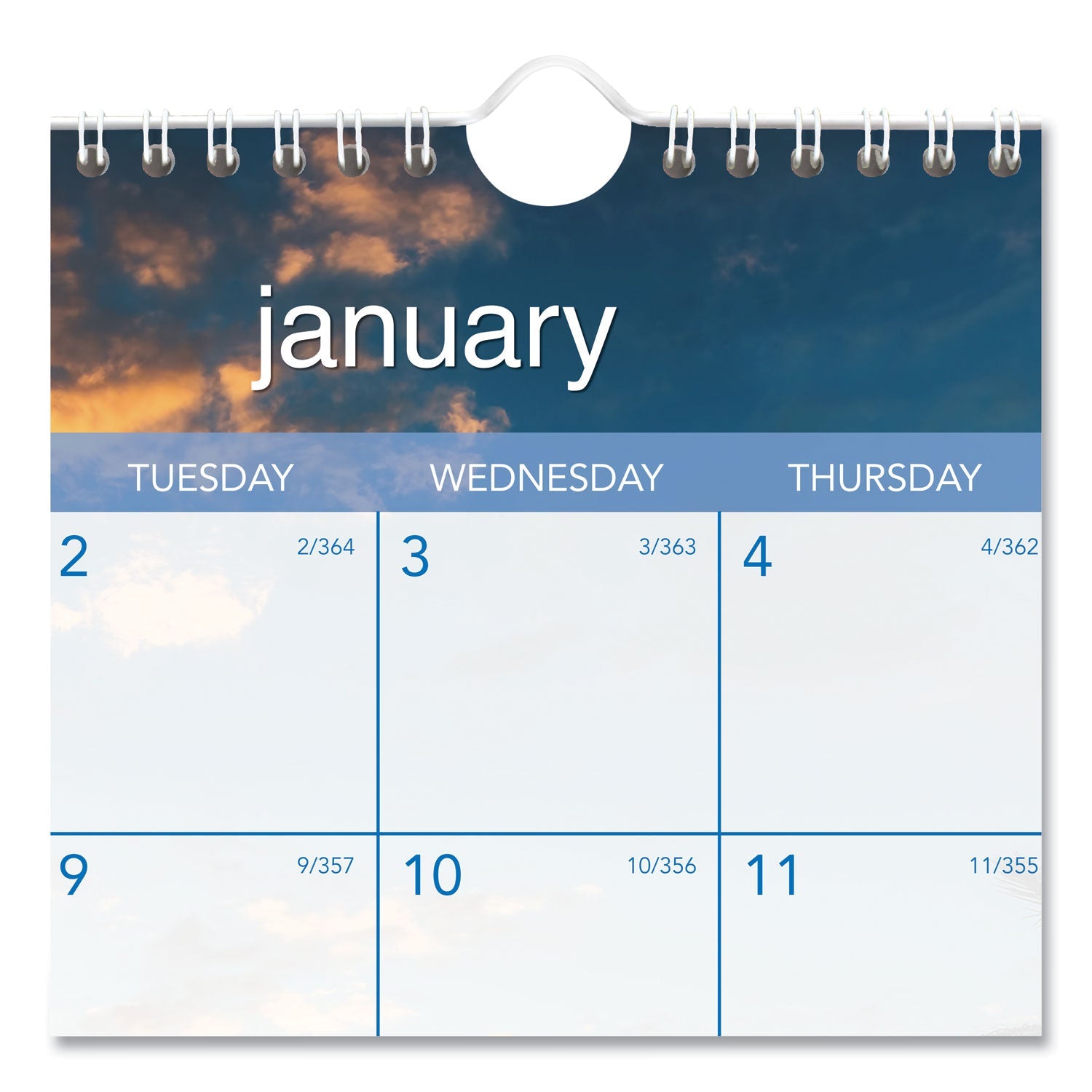 at-a-glance-tropical-escape-wall-calendar-num-aagdmwte828_4