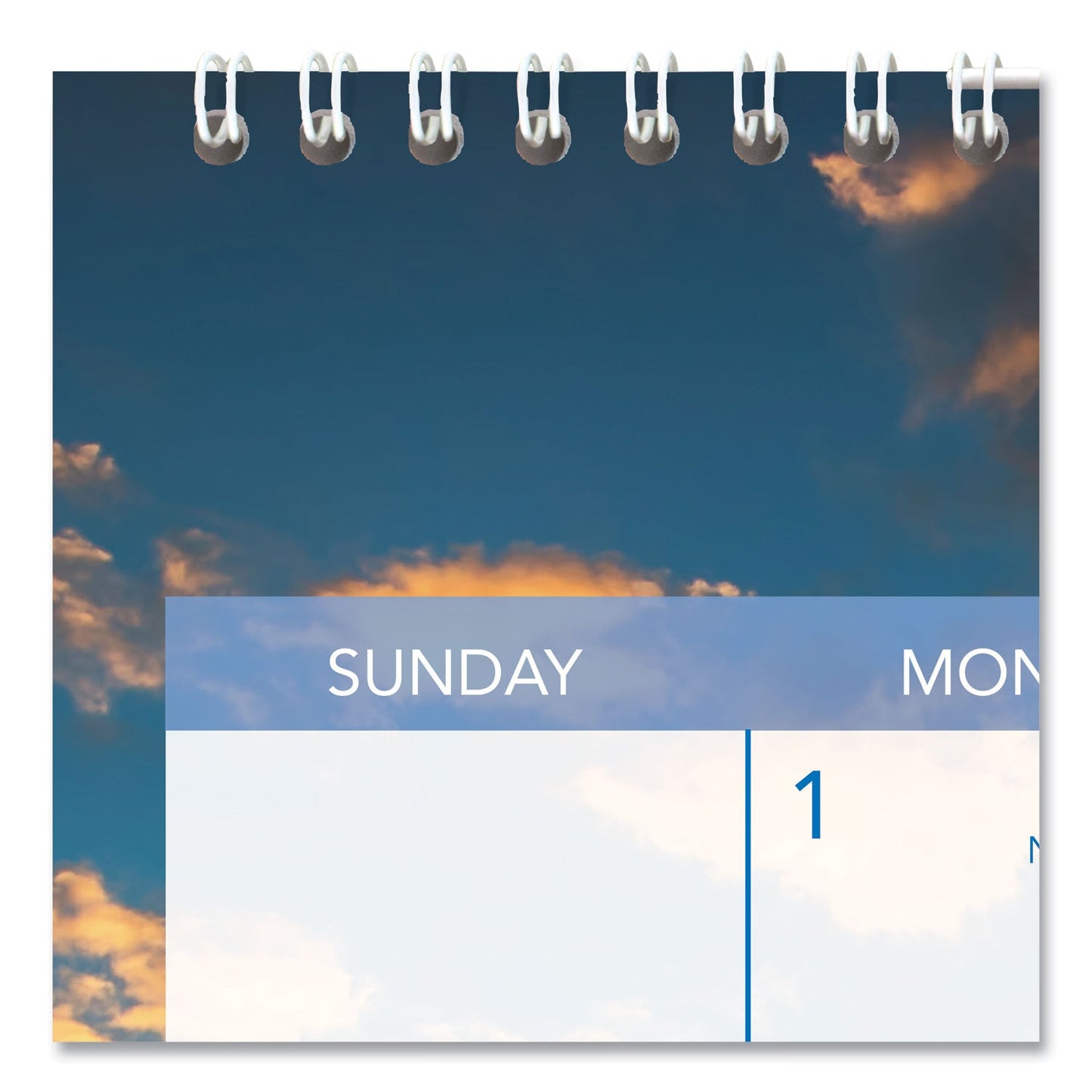 at-a-glance-tropical-escape-wall-calendar-num-aagdmwte828_6