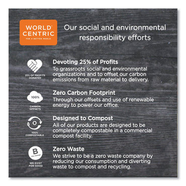 world-centric-pla-compostable-cutlery-num-worspcs3_2