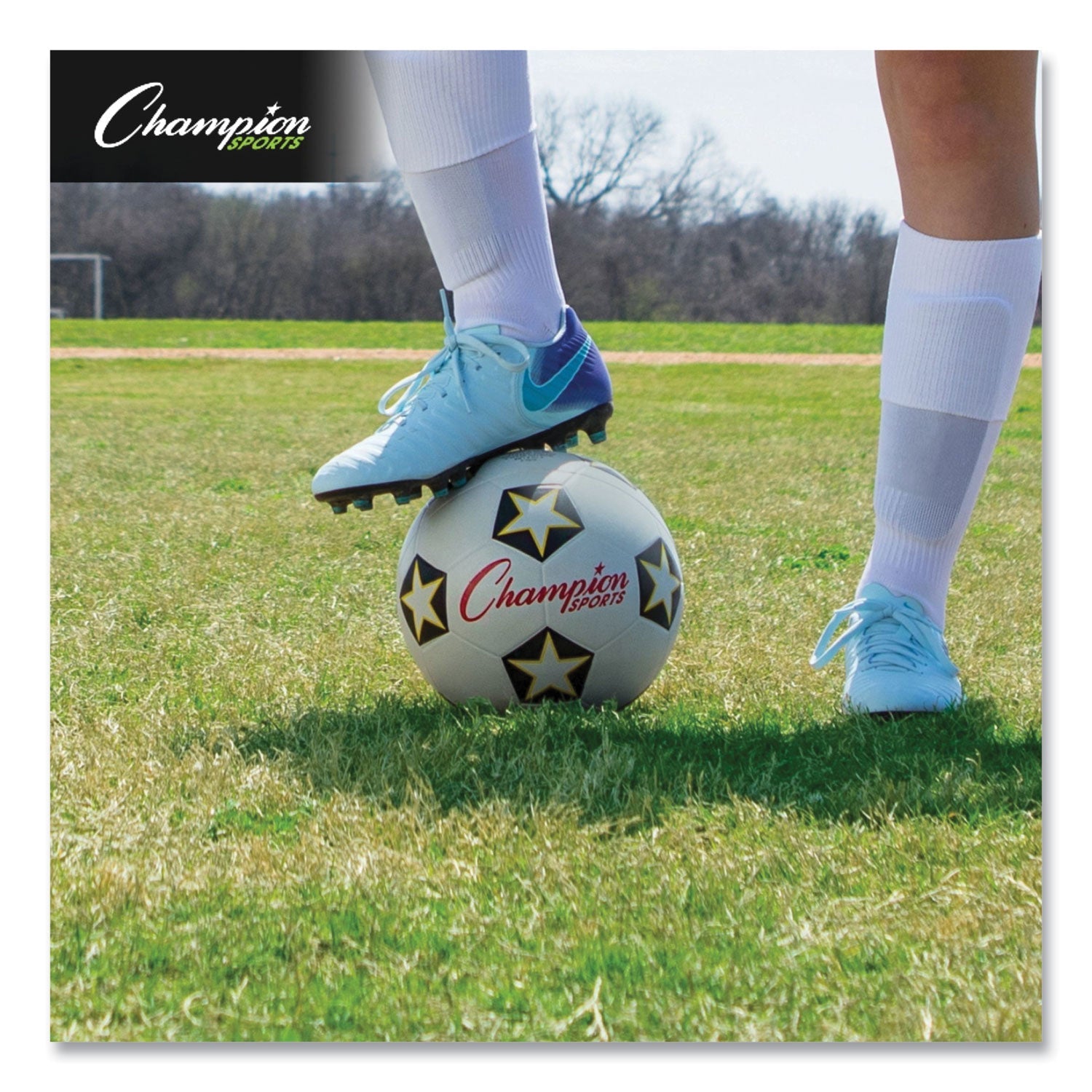 champion-rubber-sports-ball-num-csisrb4_5