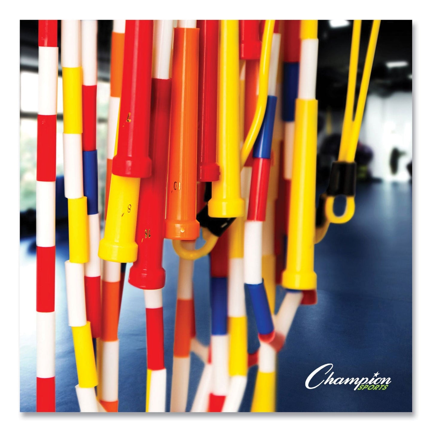 champion-physical-education-kit-w-seven-balls-num-csiupgset2_3