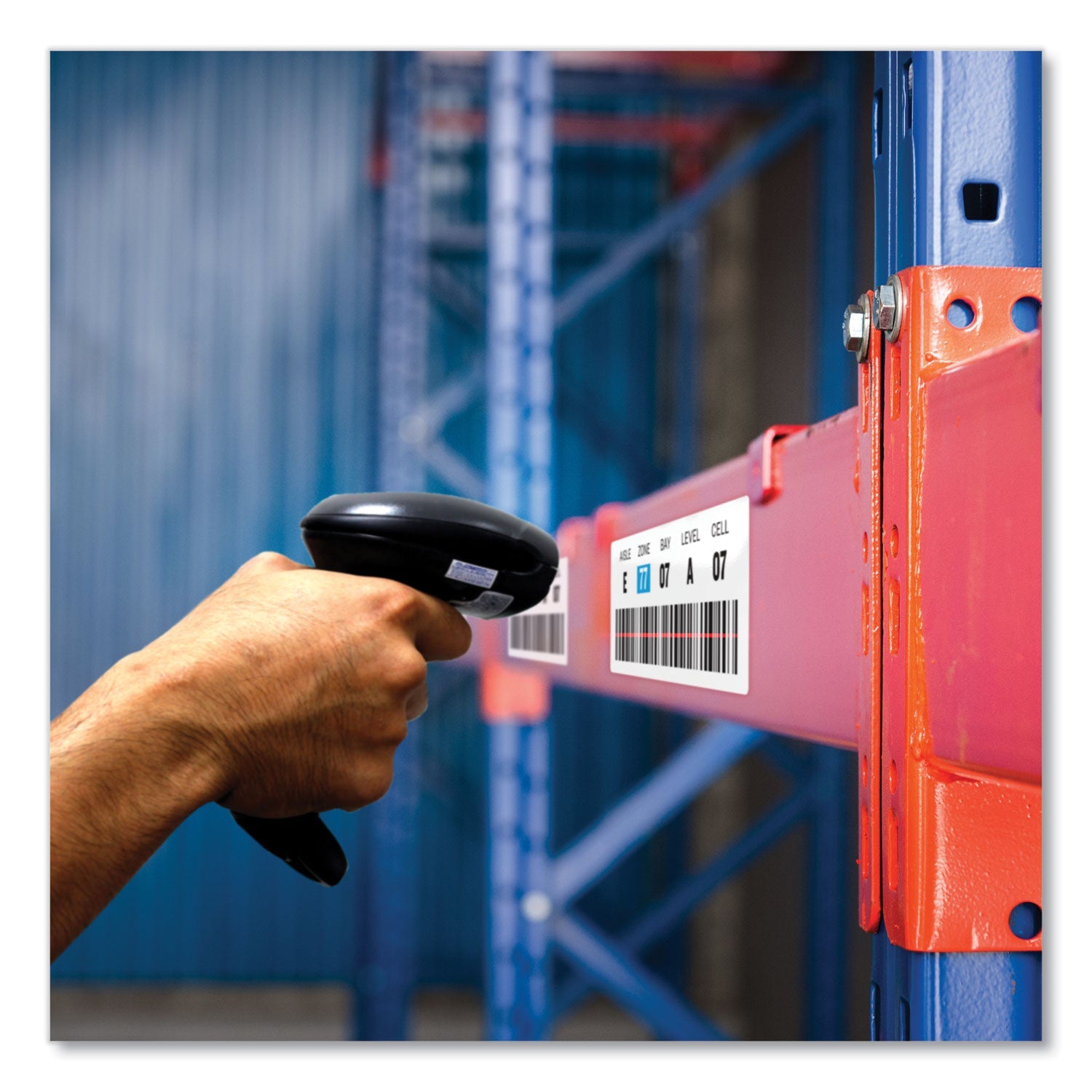 avery-surface-safe-id-labels-num-ave61502_4