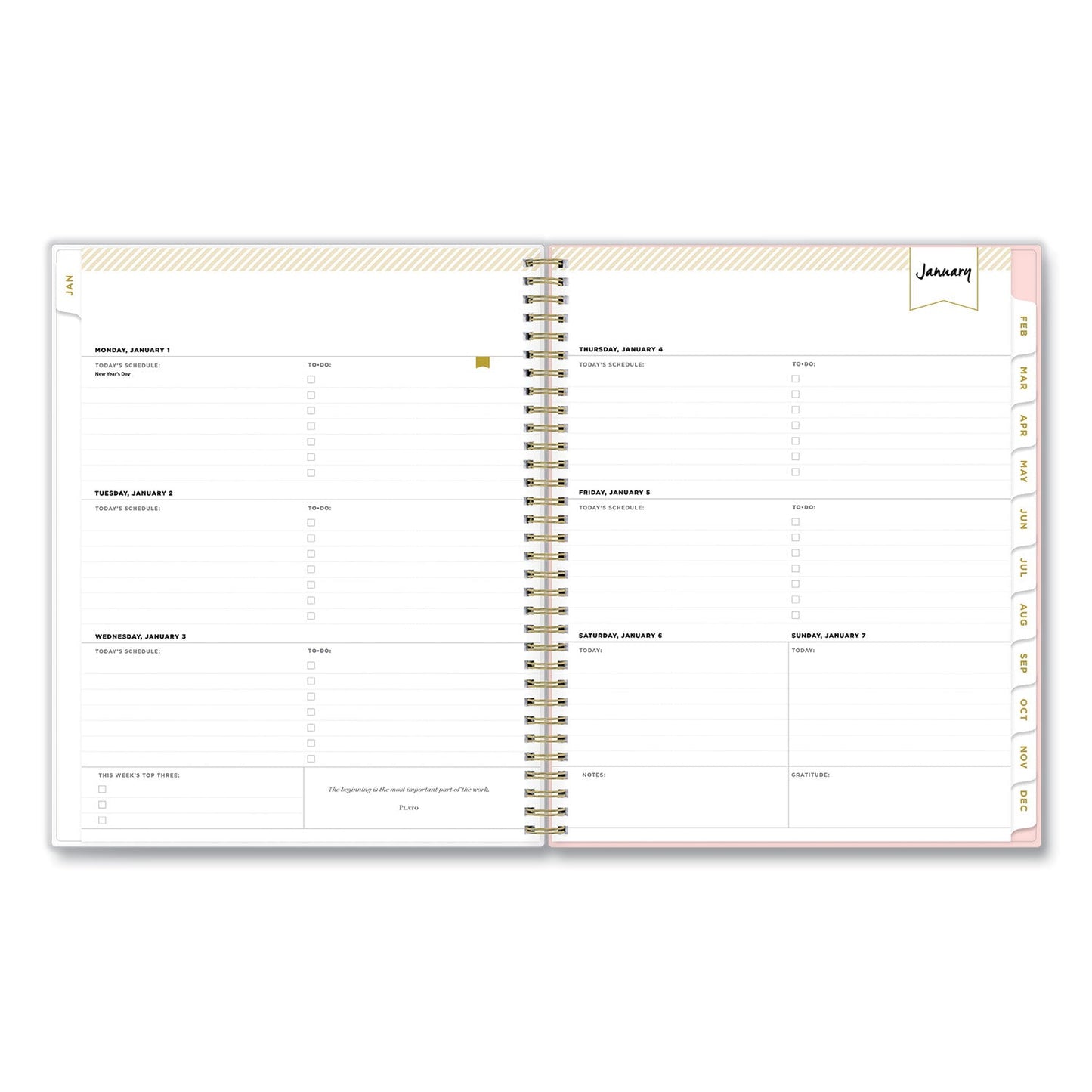 blue-sky-day-designer-coming-up-roses-create-your-own-cover-weekly-monthly-planner-num-bls140092_3