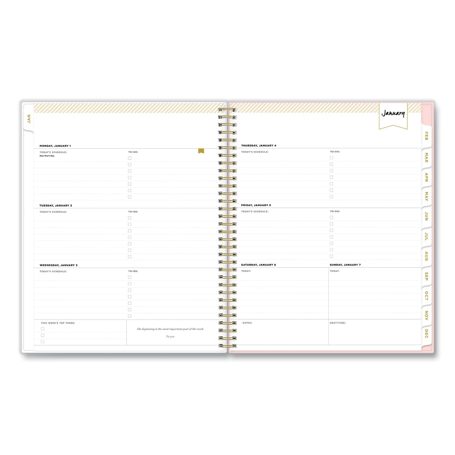 blue-sky-day-designer-coming-up-roses-create-your-own-cover-weekly-monthly-planner-num-bls140092_3