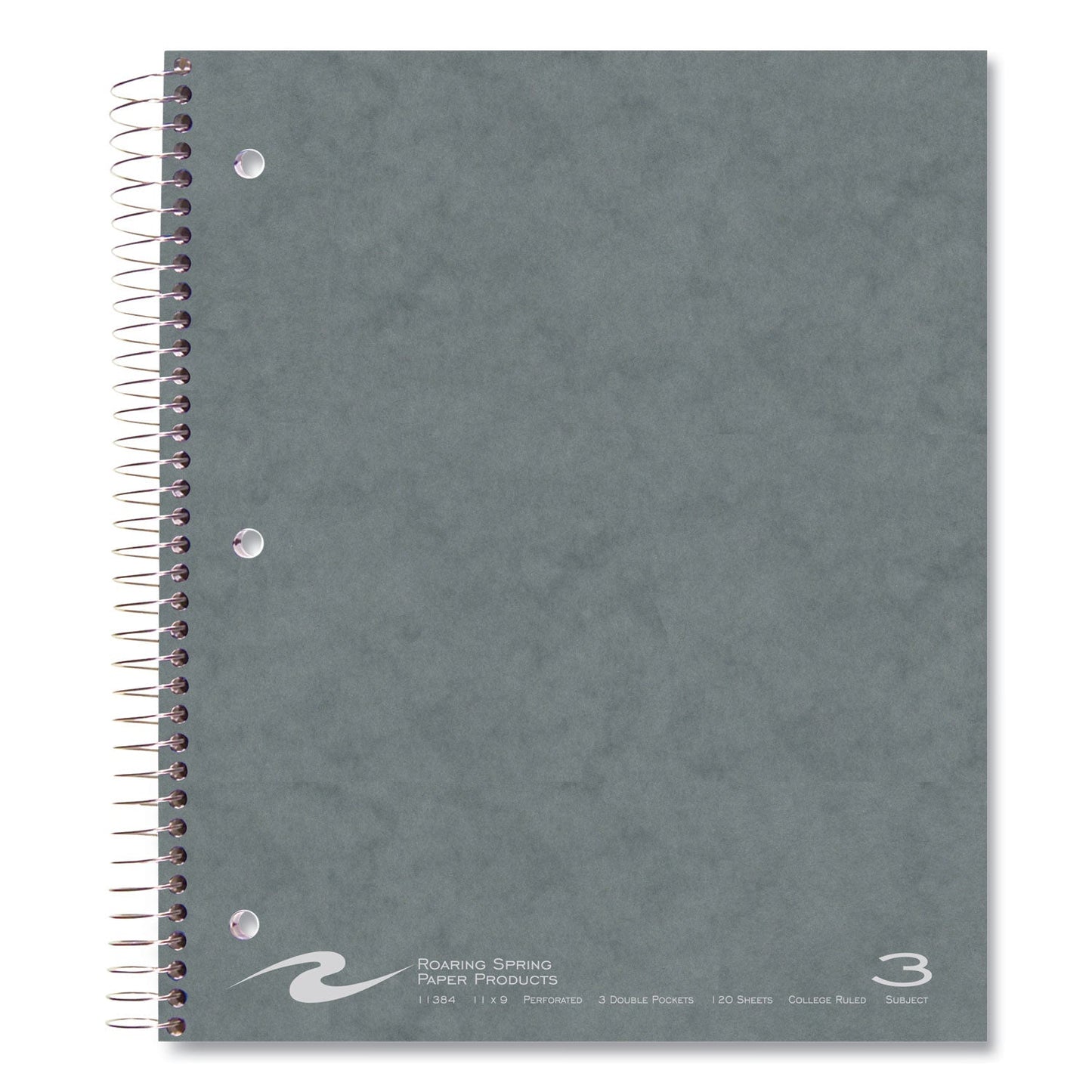 roaring-spring-paper-subject-wirebound-notebook-num-roa11384cs_2