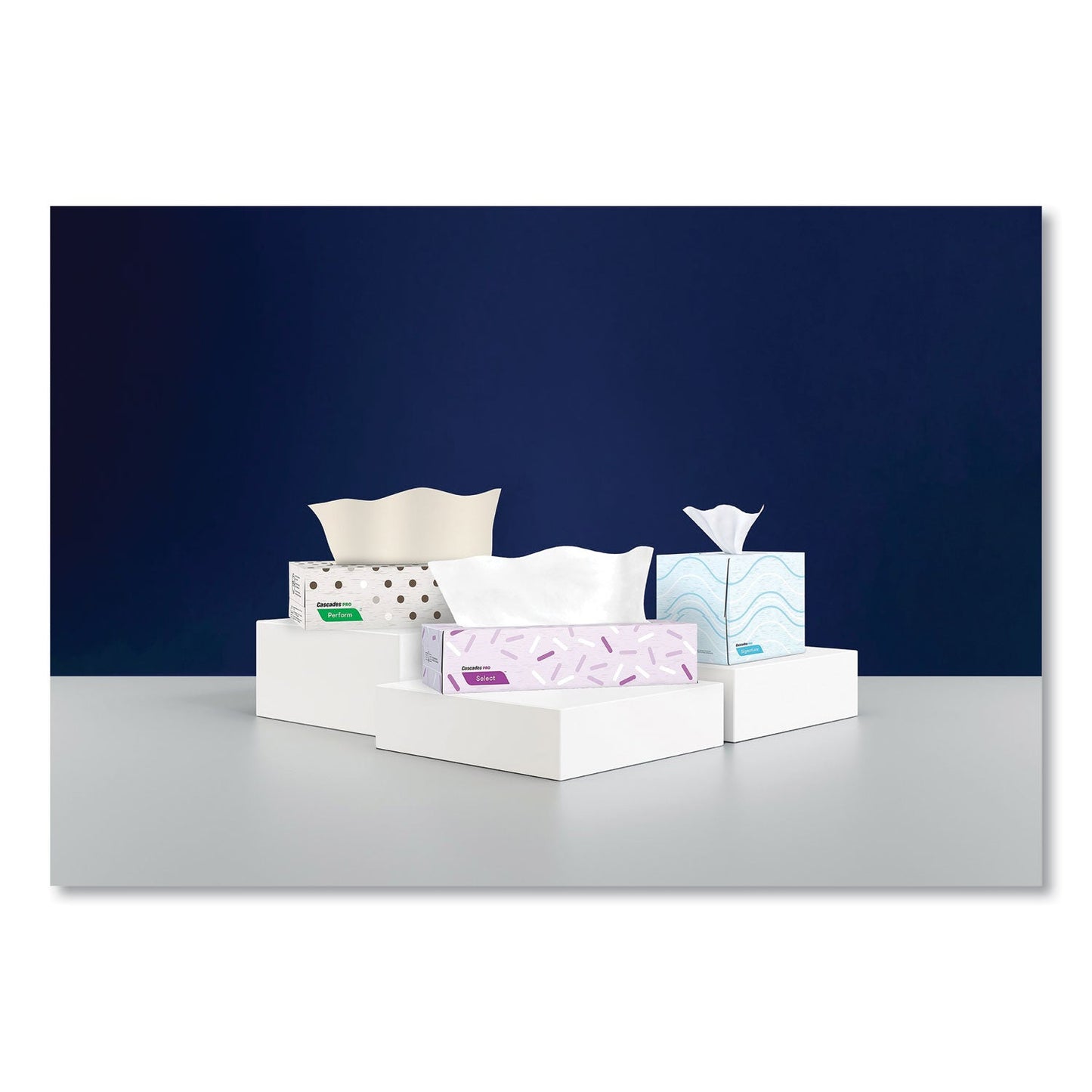 cascades-signature-facial-tissue-num-csdf710_6