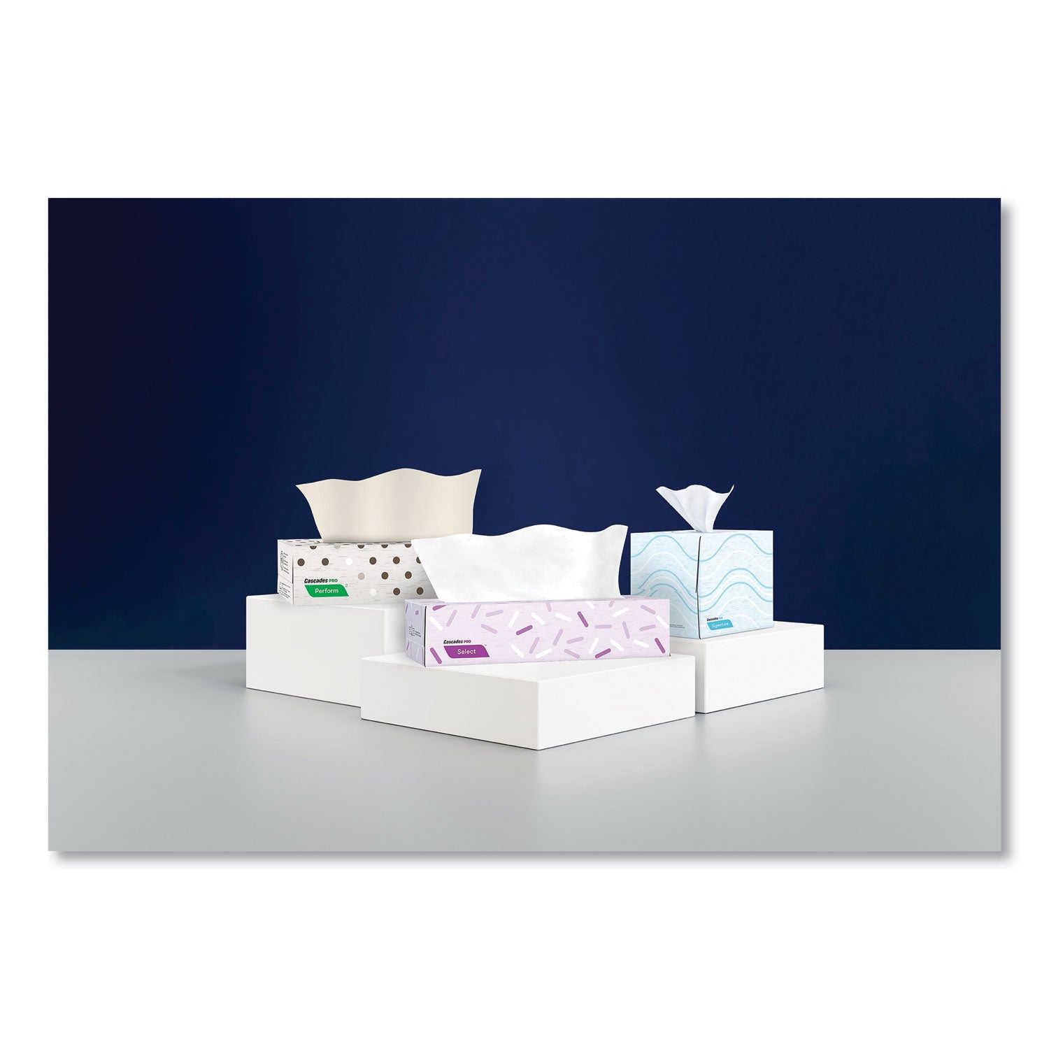 cascades-signature-facial-tissue-num-csdf710_6