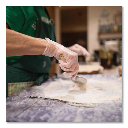 AMMEX® Professional Vinyl Exam Gloves, Powder-Free, Small, 3 mil Thick, 9.5" Long, Clear, 100/Box, 10 Boxes/Carton (AXCVPF62100T)