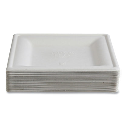 eco-products®-vanguard-renewable-and-compostable-sugarcane-plates-10-x-10-white-250-carton-ecoepp023nfa_9